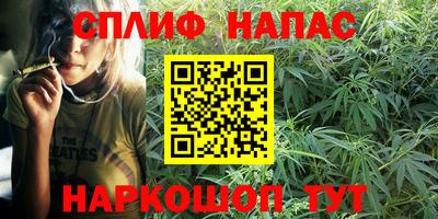 прущие грибы Ликино-Дулёво