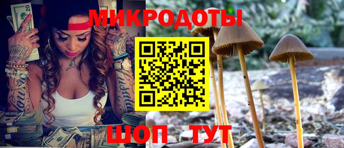 Верхняя Салда  Псилоцибиновые грибы Psilocybe  Галлюциногенные грибы мицелий  Вход с VPN 