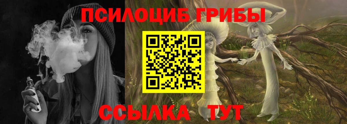 Псилоцибиновые грибы мицелий Верхняя Салда